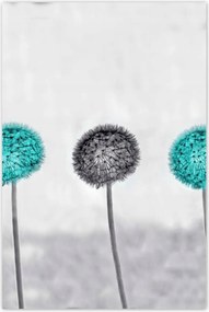 Poszterek 80x120 Türkiz pitypangok