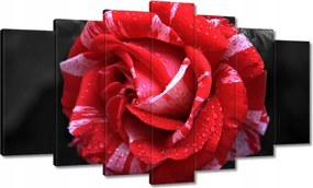 Vászonkép 140x80 Fehér-piros rózsa