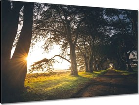 Festmények 120x80 Tájkép Látvány