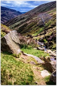 Poszterek 80x120 Hegyi patak