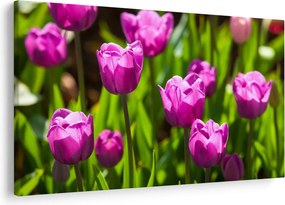 Tulipánok a réten képe (90x60 cm)