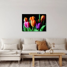 Tulipánok képe fekete alapon (üvegen) (70x50 cm)