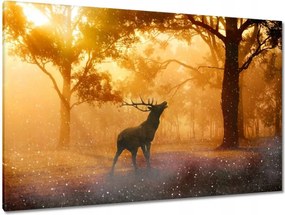 Vászonkép 120x80 Szarvas az erdőben