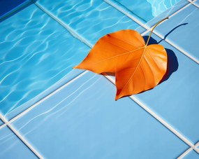 Poszter 76x60,5cm Levél a víz mellett