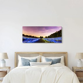 Színes mező képe (120x50 cm)