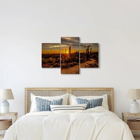 Kép - A nap vége az arizonai sivatagban (90x60 cm)