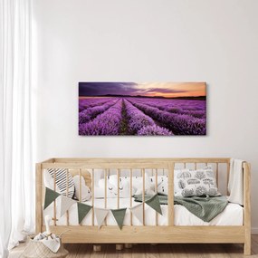 Kép - Levendulamező naplementében (120x50 cm)