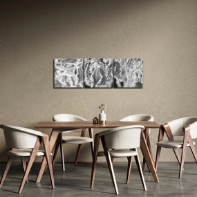 Kép - Fagyott levelek, fekete-fehér (órával) (90x30 cm)