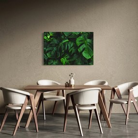 Monstery levelek képe (90x60 cm)