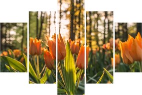 Narancssárga tulipán képe (150x105 cm)