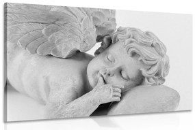 Kép alvó fekete fehér angyalka