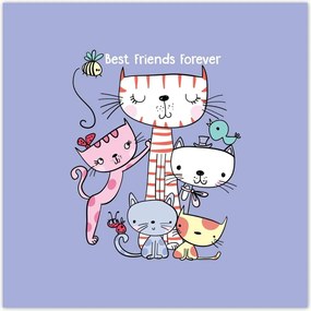 Plakátok 100x100 macska cica macskák