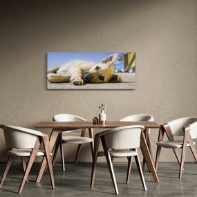Fekvő kiskutya képe (120x50 cm)