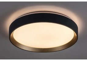 Rabalux 71185 - LED Mennyezeti lámpa LIATRIS LED/25W/230V 3000K átm. 38 cm