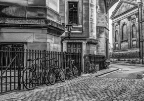 Poszter 66,5x46,5cm Kerékpårok a jårdån, Assaf Frank