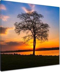 Vászonkép 60x60 Fa naplemente