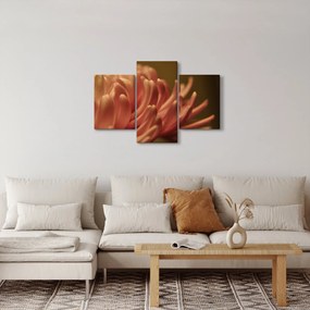 A virág részletének képe (90x60 cm)