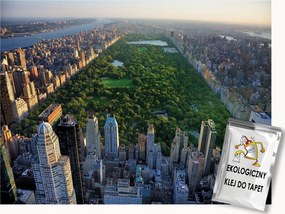 Fotótapéta Flizelina New York Város Central Park Felhőkarcolók 100x75 ragasztó