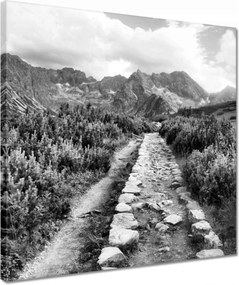 Vászonkép 40x40 Tátra Lengyel hegyek Kilátás