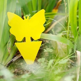 Rovarcsapda - ragadós pillangó