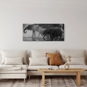 Elefánt képe - fekete fehér (120x50 cm)