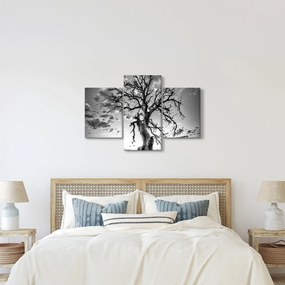 Kép - fekete fehér fa (90x60 cm)