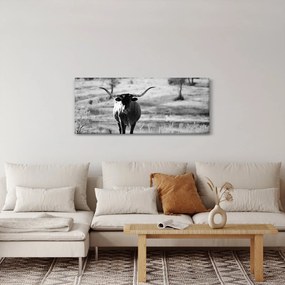 Kép - Tehén, fekete-fehér (120x50 cm)