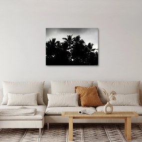 A fekete-fehér pálmafák képe (70x50 cm)