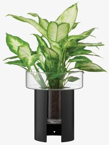 LSA International Terrazza virágcserép, h 22 cm, Ø19 cm, átlátszó/fekete - LSA nemzetközi