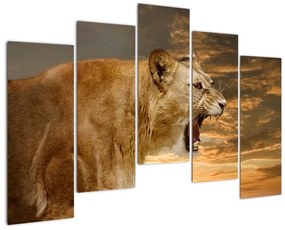 Kép - ordít, oroszlán (125x90cm)