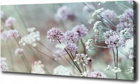 Vászonkép Vad virágok 100x70 cm