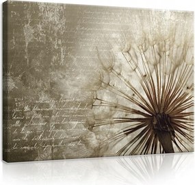 Vászonkép pitypang falikép 100x75