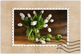 Poszterek 60x40 Fehér tulipánok