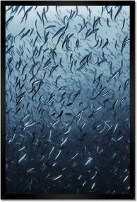 Poszterek keretben 40x60 Túrázás halrajok víz