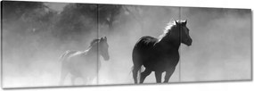 Vászonkép 60x20 Galoppozó lovak