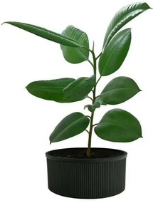 Karácsonyfa állvány 5 l, fekete