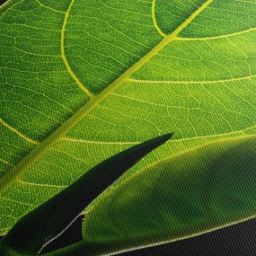 Kép - zöld levél (120x50 cm)