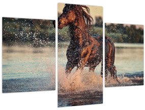 Kép - Futó ló (90x60 cm)
