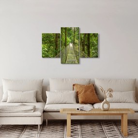 Kép - Függőhíd (90x60 cm)