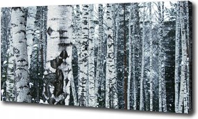 Vászonkép Nyírfák 100x70 cm