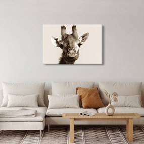 Kép - Zsiráf portré, vintage (90x60 cm)