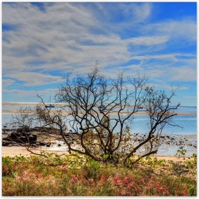 Poszterek 100x100 Kilátás a tengerpartról