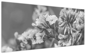 Kép - Szárított virágok (120x50 cm)