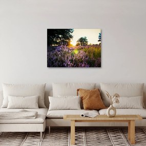 Egy levendulamező képe (70x50 cm)