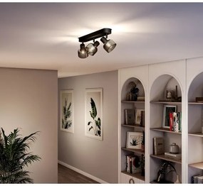 Philips - Spotlámpa SLEET 3xE14/25W/230V