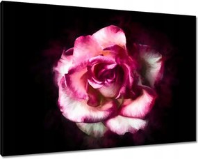 Vászonkép 100x70 Nagyvirágú rózsa Rózsa
