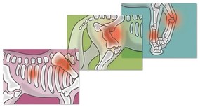 Schleich 42704 Mobil állatorvos pótkocsival