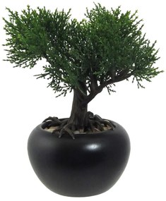 Mű bonsai Cédrus virágcserépben, zöld, 19 cm