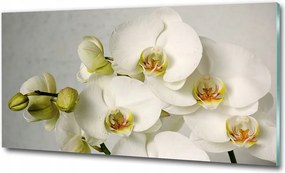 Fotótapéta falra edzett üveg kaszkádok 100x70