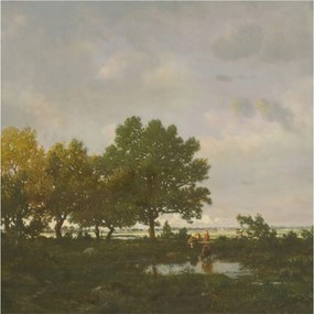 Flizelin fotótapéta Flizelin Designer Erdei tájkép 250x250 Ragasztó